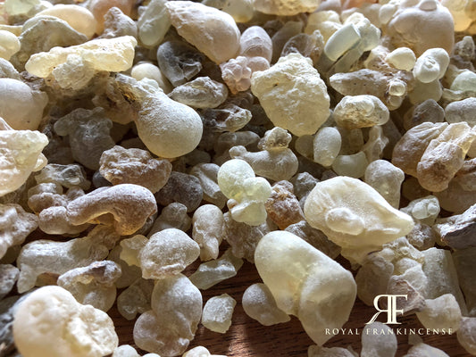 Organic Royal Frankincense Hojari/Hojary Mixed-Grade Frankincense Resin from OMAN (Boswellia Sacra)