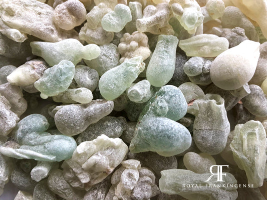 Organic Sultan's Selection Blue-Green Hojari/Hojary Frankincense Resin from Oman (Boswellia Sacra)