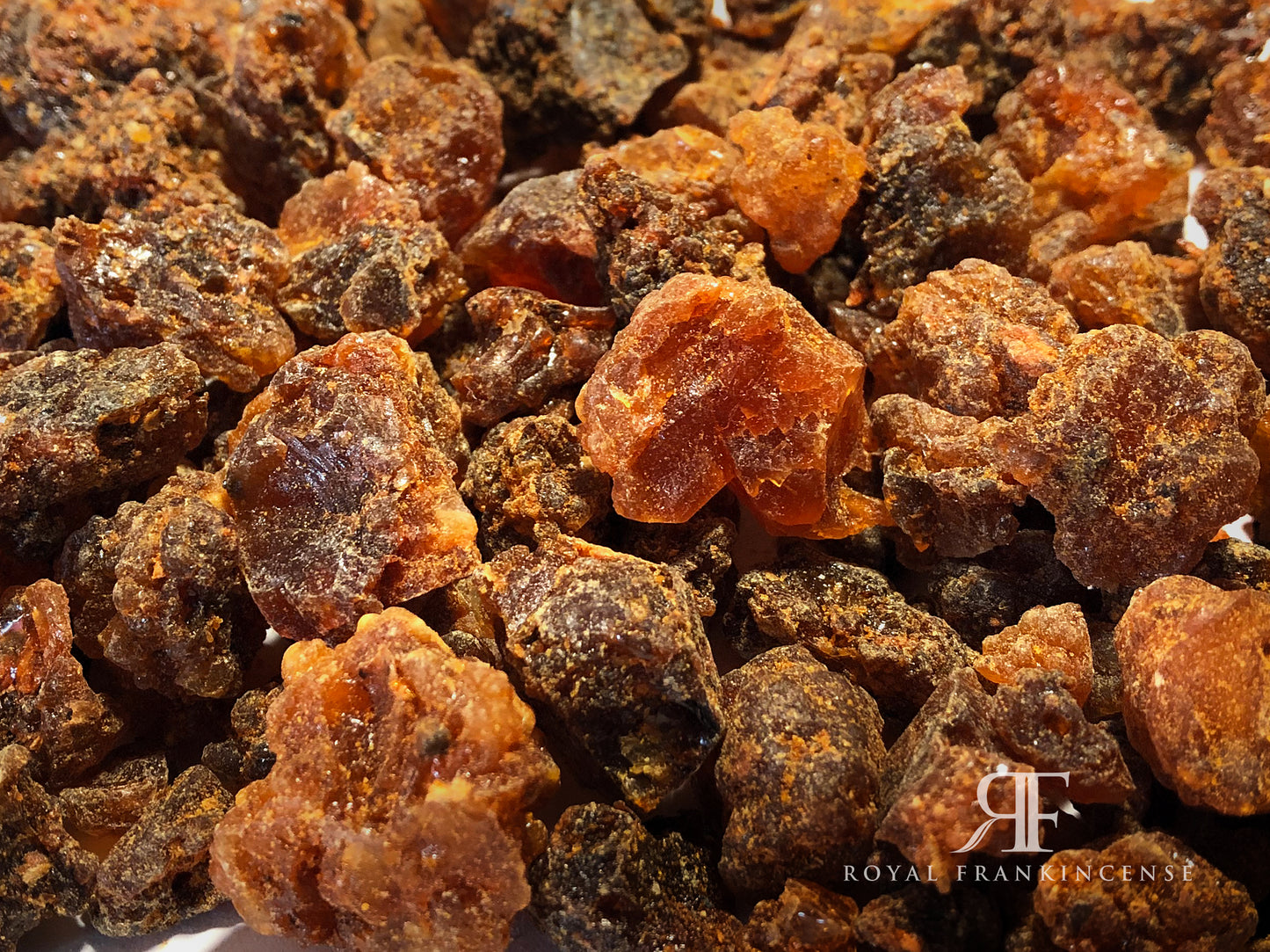 Organic Myrrh Resin from Oman (Commiphora Myrrha)