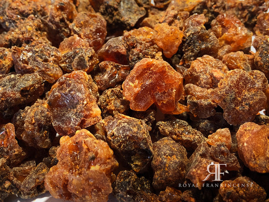 Organic Myrrh Resin from Oman (Commiphora Myrrha) (Bulk)
