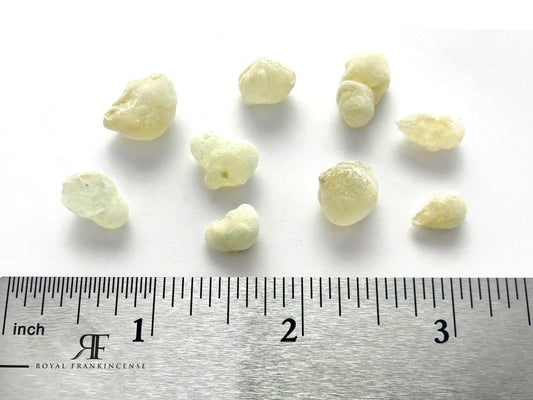 Organic Royal Frankincense Green Hojari/Hojary Frankincense Resin from Oman (Boswellia Sacra) (Small Pieces)