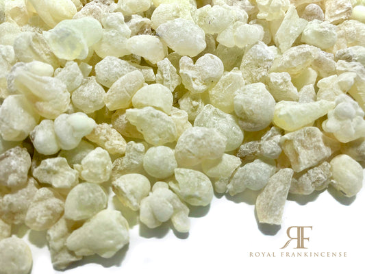 Organic Royal Frankincense Green Hojari/Hojary Frankincense Resin from Oman (Boswellia Sacra) (Small Pieces) (Bulk)