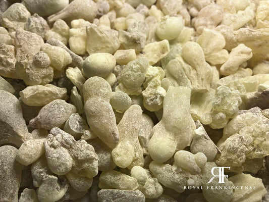 Organic Royal Frankincense Green Hojari/Hojary Frankincense Resin from Oman (Boswellia Sacra) (Bulk)