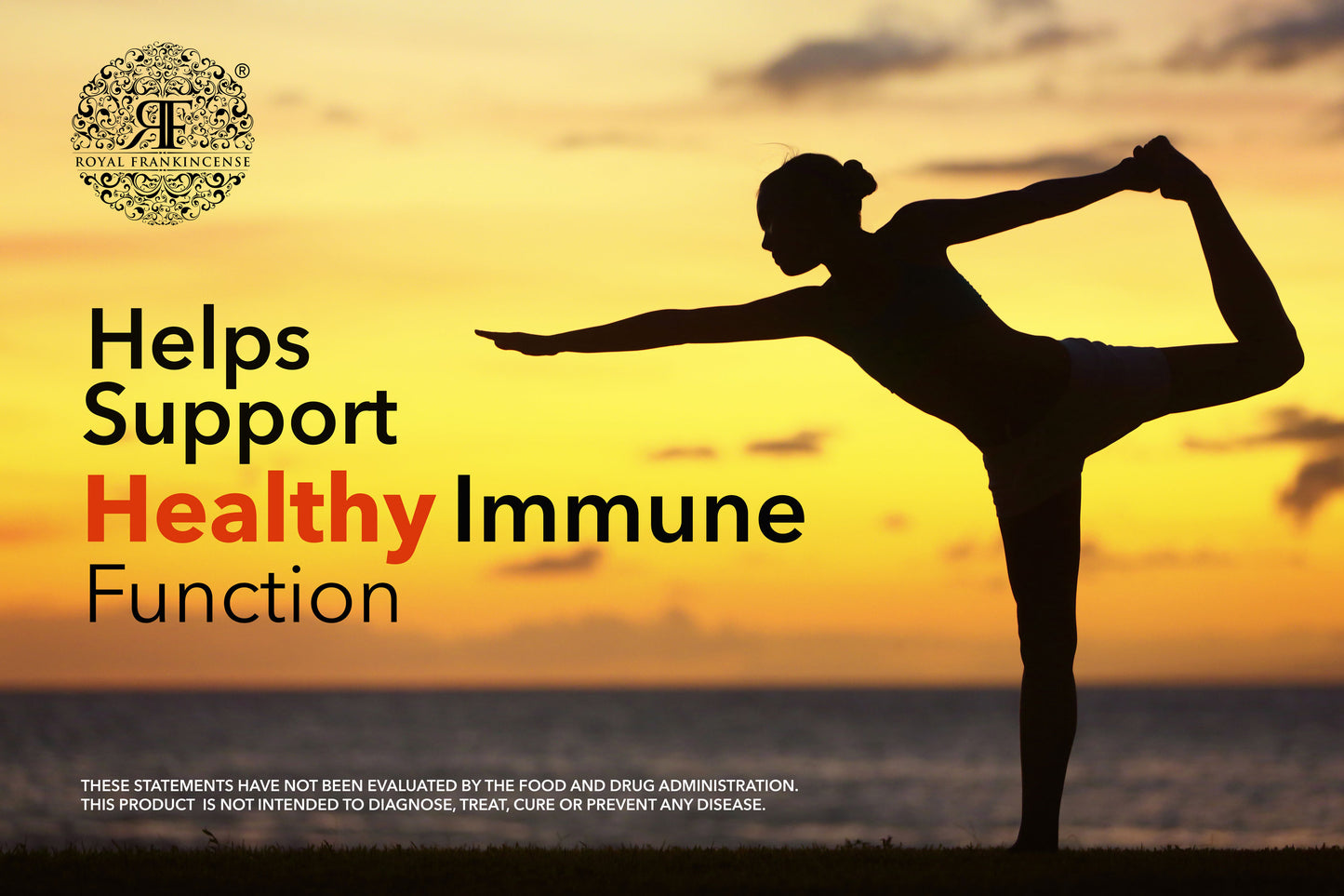 Organic Myrrh Resin from Oman (Commiphora Myrrha)