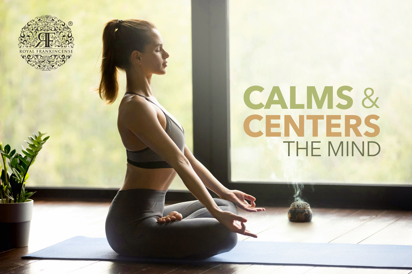 Organic Royal Frankincense Black Hojari/Hojary Frankincense Resin from Oman (Boswellia Sacra) (Bulk)